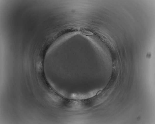 X0000097660127200803211928