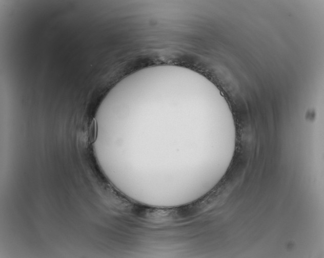 X0000097660129200803211928
