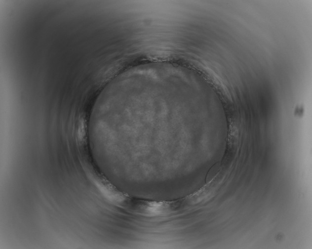X0000097660130200803211928