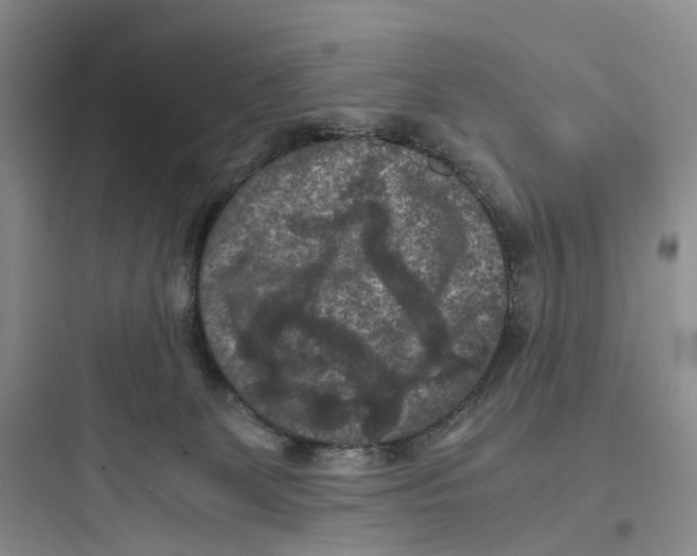 X0000097660131200803211928
