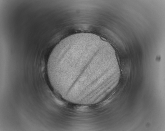 X0000097660132200803211928