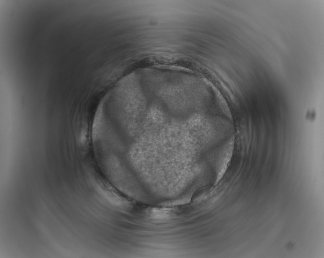 X0000097660134200803211928