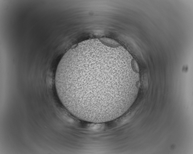 X0000097660135200803211928