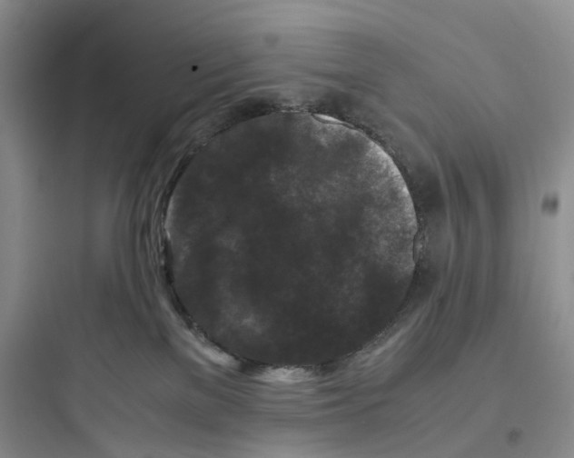 X0000097660137200803211928