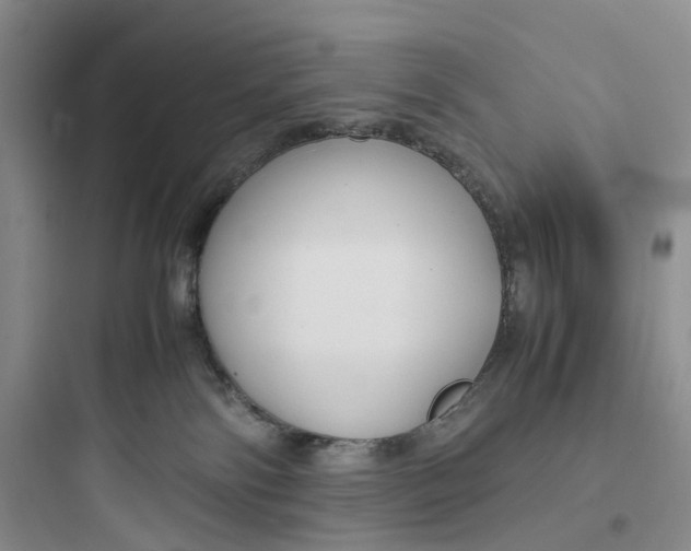 X0000097660138200803211928