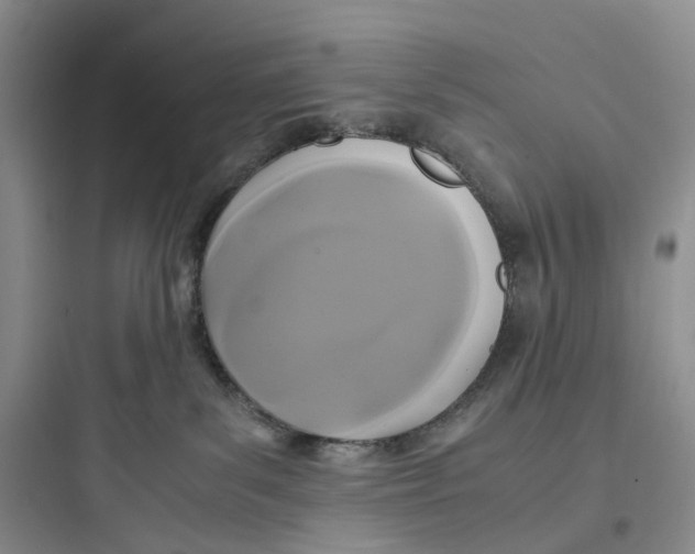 X0000097660139200803211928