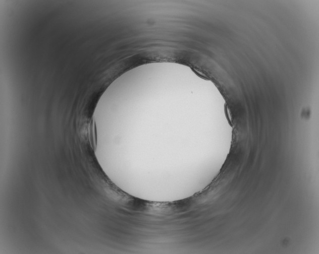 X0000097660141200803211928
