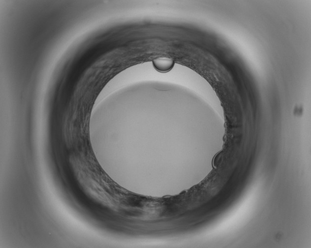 X0000097660143200803211928