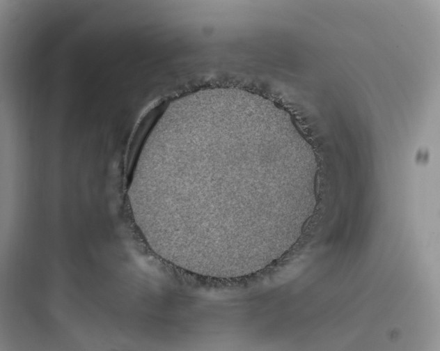 X0000097660144200803211928