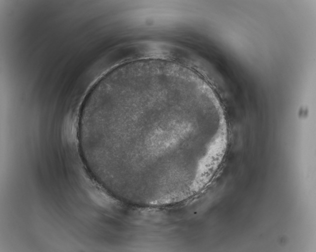 X0000097660146200803211927
