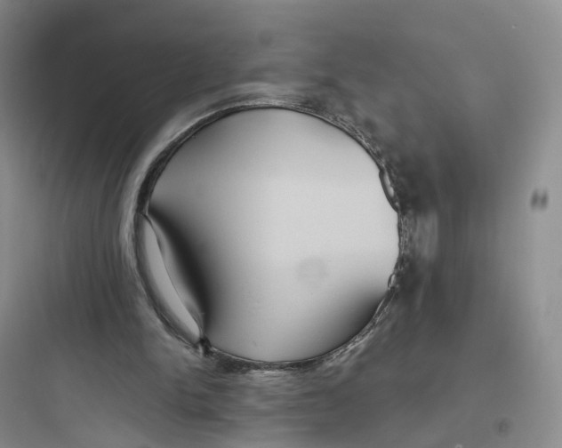 X0000097660150200803211927