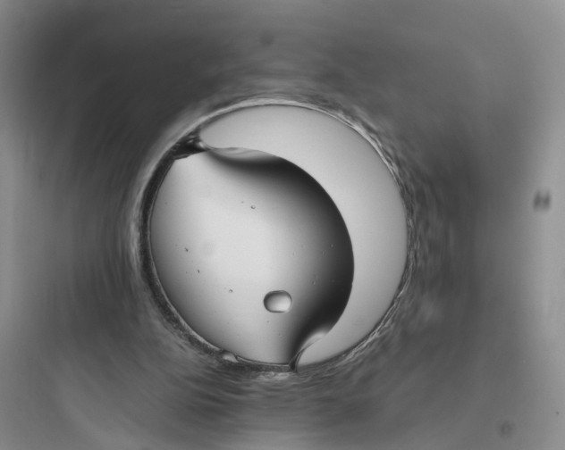 X0000097660152200803211927