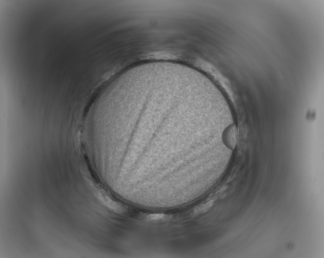 X0000097660153200803211927
