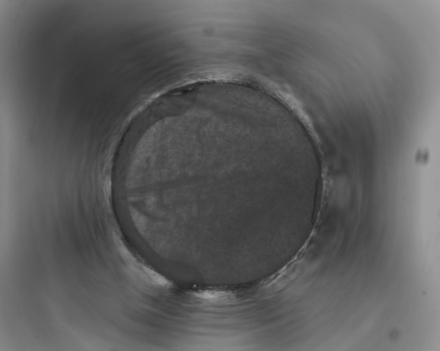X0000097660154200803211927