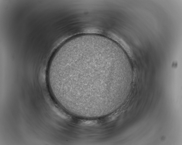 X0000097660155200803211927