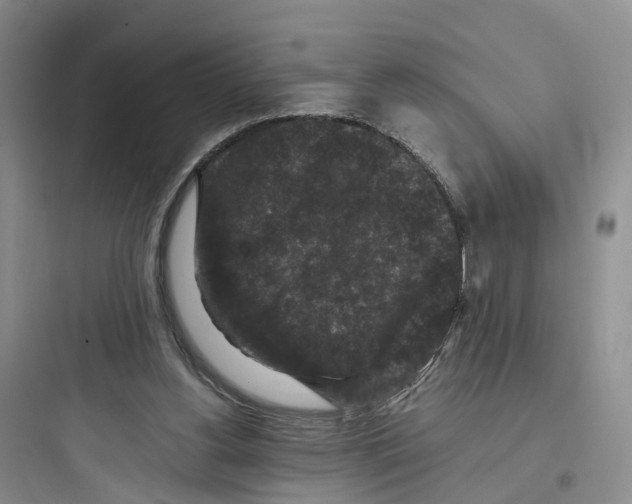 X0000097660156200803211927