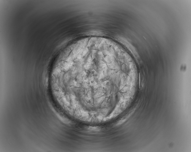 X0000097660157200803211927
