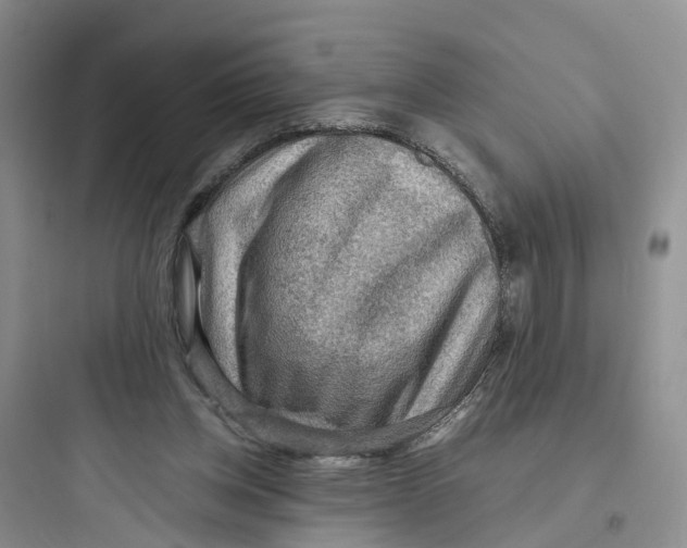 X0000097660158200803211927