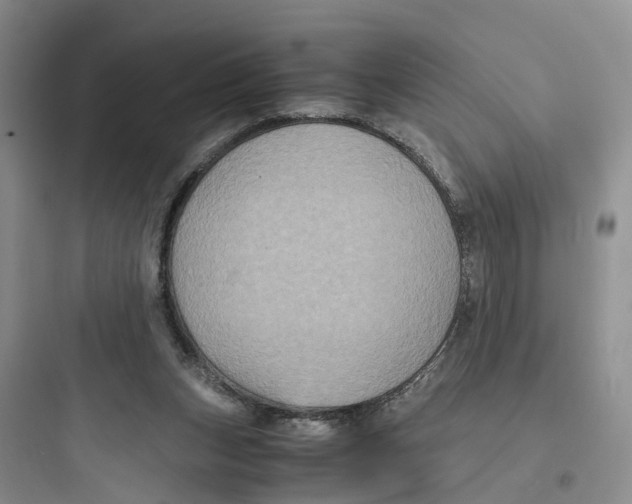 X0000097660159200803211927