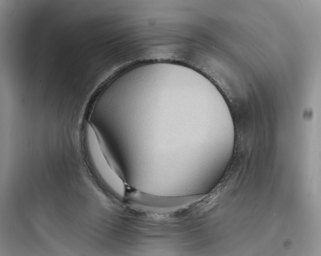 X0000097660160200803211927