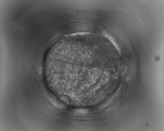 X0000097660161200803211927