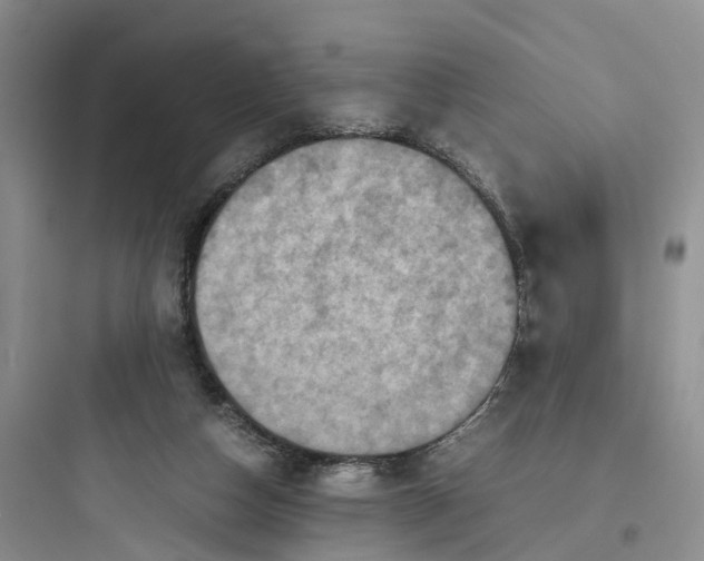 X0000097660162200803211927