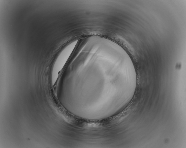 X0000097660163200803211927