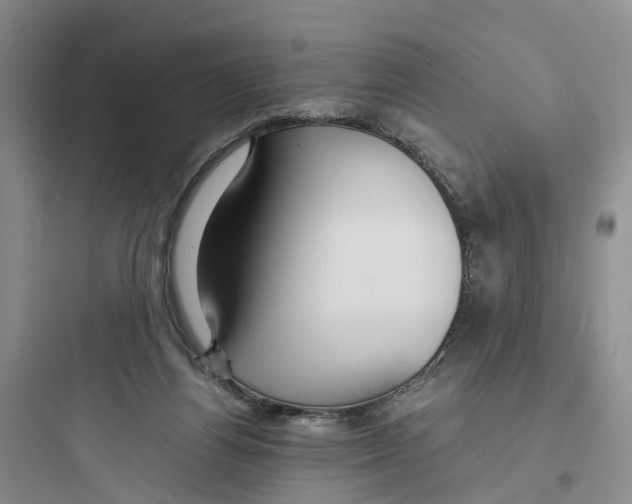 X0000097660164200803211927