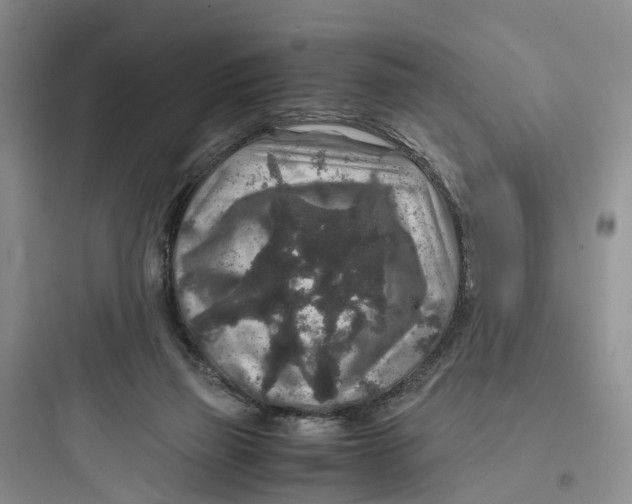 X0000097660165200803211927