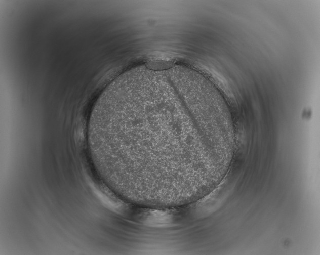 X0000097660166200803211927