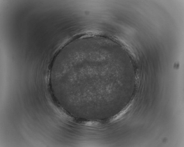 X0000097660168200803211927