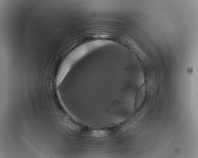 X0000097660169200803211927
