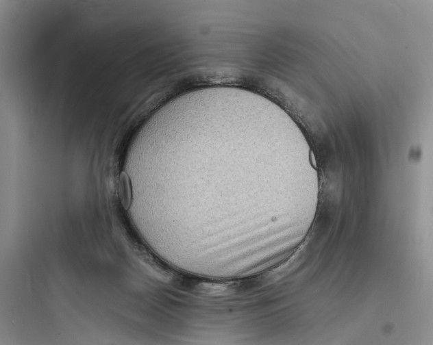 X0000097660170200803211927