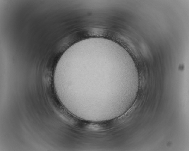 X0000097660171200803211927