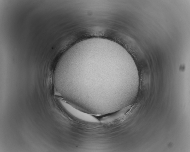 X0000097660172200803211927