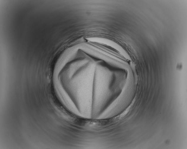 X0000097660174200803211927