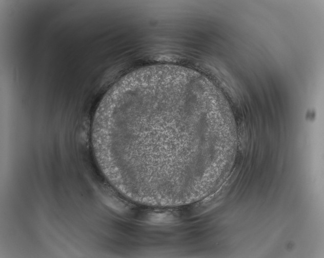 X0000097660175200803211927