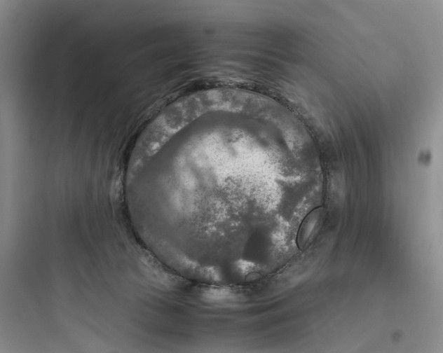 X0000097660177200803211927