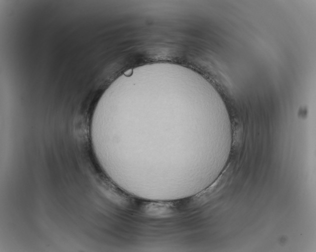 X0000097660179200803211927