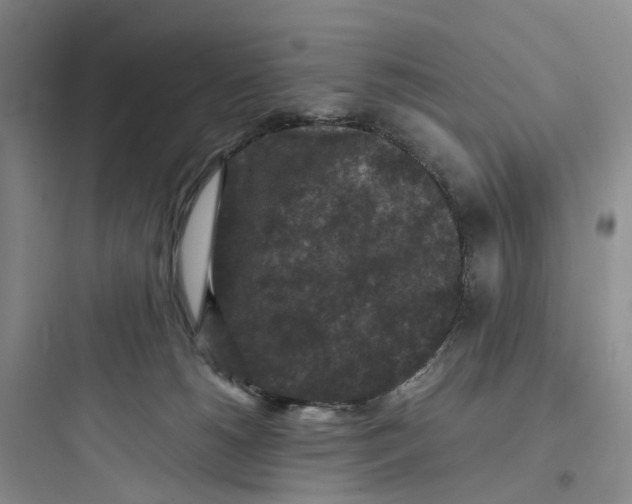 X0000097660180200803211927