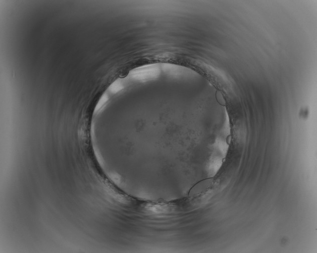X0000097660181200803211927