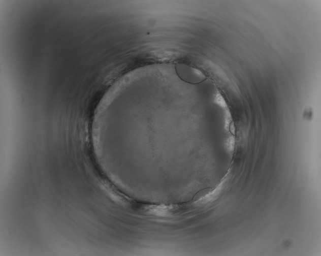 X0000097660182200803211928