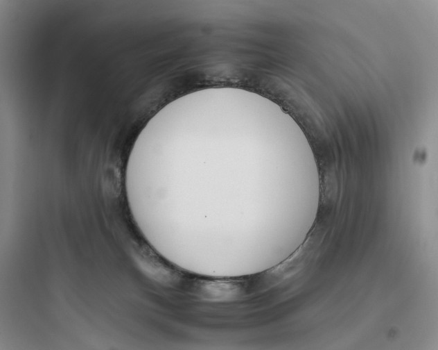 X0000097660183200803211928