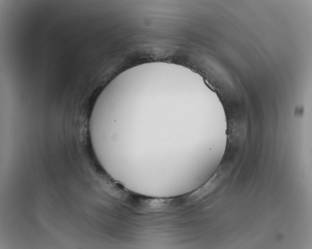 X0000097660184200803211928
