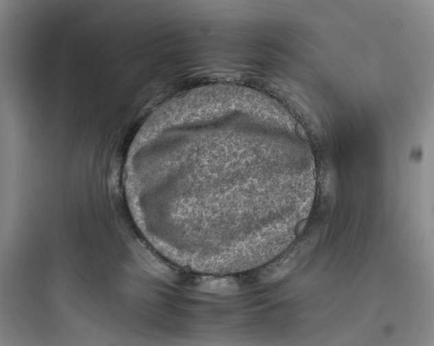 X0000097660185200803211928