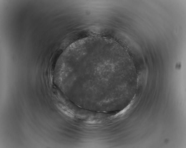 X0000097660186200803211928