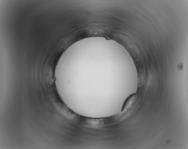 X0000097660187200803211928