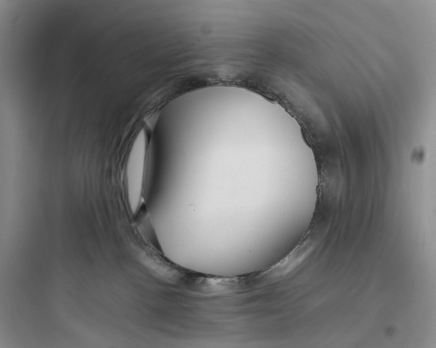 X0000097660188200803211928