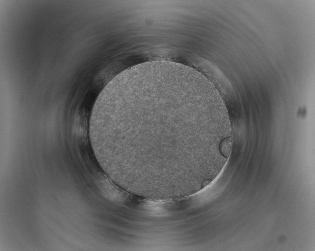X0000097660190200803211928