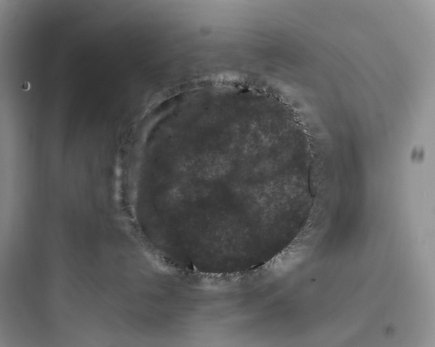 X0000097660192200803211928